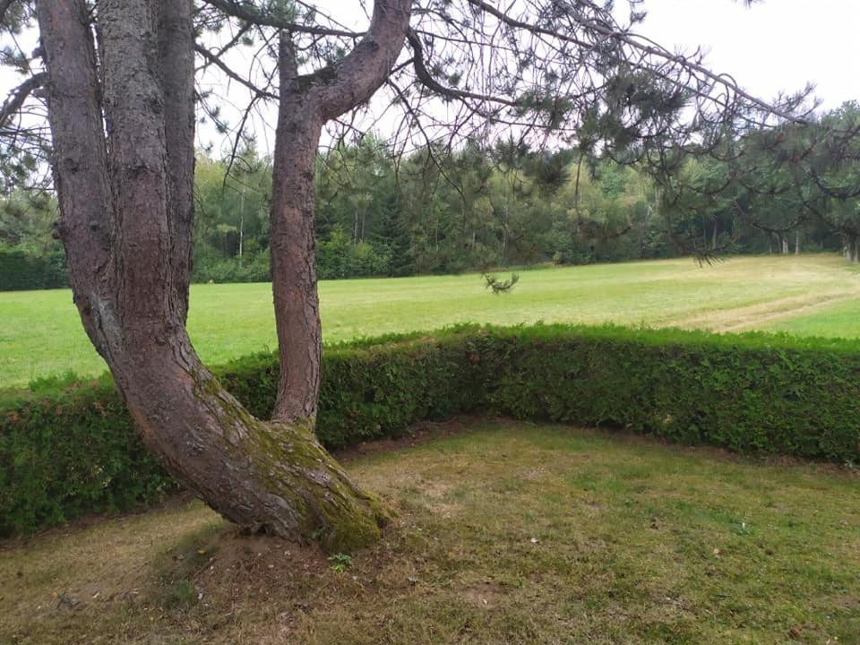 Chalet Du Spiemont Champdray 외부 사진